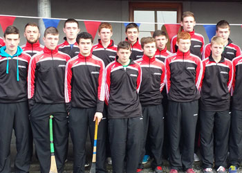 Teams-minors Drumcullen Minor team
