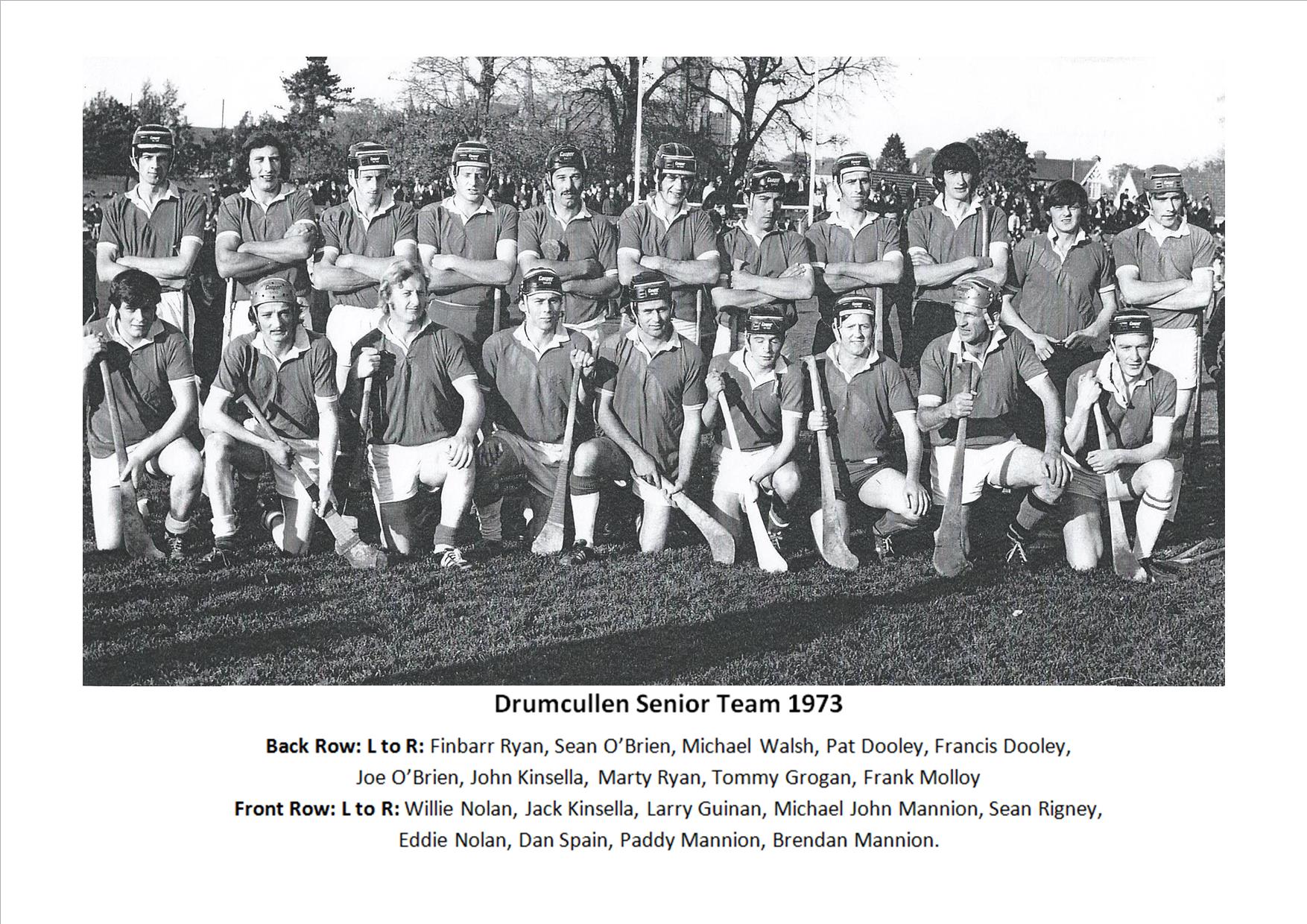 Drumcullen Senior Team - 1973
