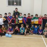 Offaly star Brian Carroll visits Rath Hall 2015 winter hurling programme u8s