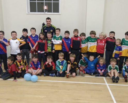 Offaly star Brian Carroll visits Rath Hall 2015 winter hurling programme u8s