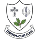 Drumcullen GAA